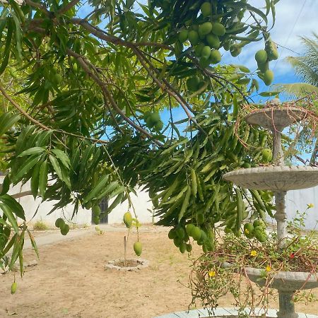 Sol, Mar E Privacidade Villa Aracaju Luaran gambar